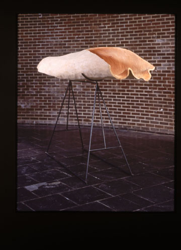 I'd Rather drink muddy water