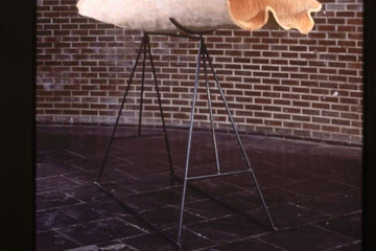 I'd Rather drink muddy water